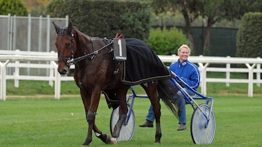 Dopo otto giorni, un altro GP
