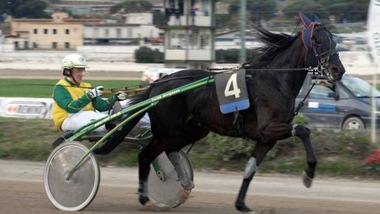 Un GP davvero Continentale