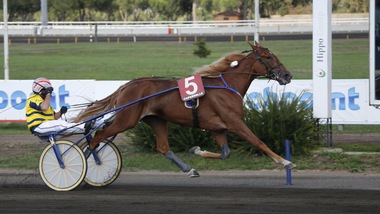 Una favorita Unicka per il Derby