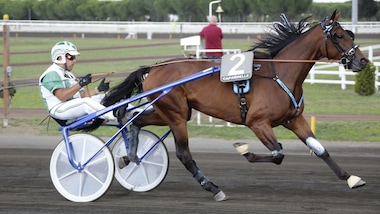 Derby e Oaks, i numeri delle finali