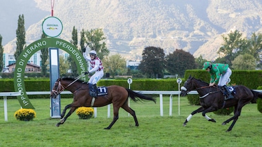 En plein straniero a Merano