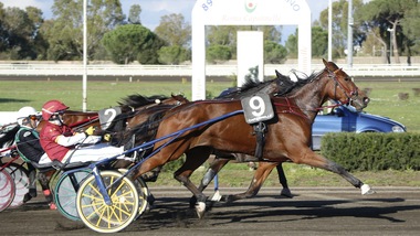 Oaks a sorpresa: Uet Wise As