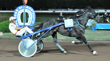 Ringostarr Treb riparte da Napoli