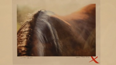 “Signore dell'Ippica” a Villa Miani