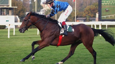 Dschingis Secret vince a spasso