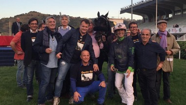 Ringostarr Treb senza problemi