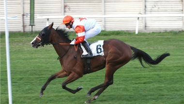 Chiusura all'Asta con Princess