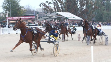 È Unicka anche nel Mangelli