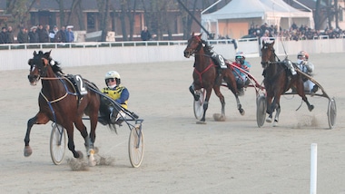 Il leader è Vampire Dany