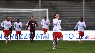 Bucchi: «Il Perugia comprerà a gennaio»