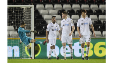 Swansea, 35 milioni per il mercato