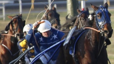 Occasione per Sharon Gar