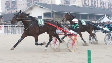 Tano Fohle Sm replica