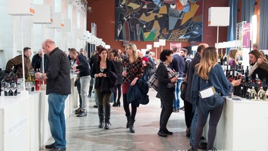 I Migliori Vini Italiani, da gustare