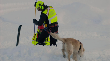 Francia: valanga a Tignes, diversi sciatori travolti