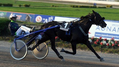 Ringostarr cerca il Treb...le