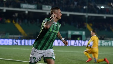 Serie B Avellino-Spal 1-0: colpo Eusepi. L'ex capolista cade ancora