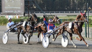 Vernissage Grif, prova di forza