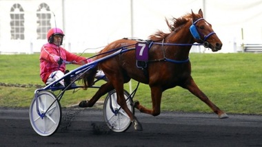 Dreammoko, adieu Europa