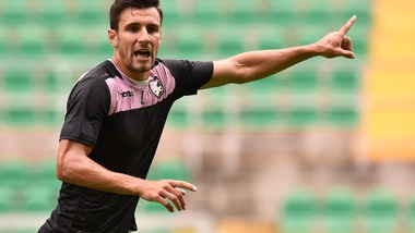 Serie A Palermo, Andelkovic ha l'influenza. Fisioterapie per Embalo