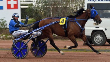Un aereo carico di campioni