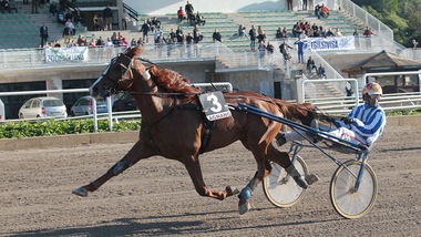 Ultra Wind Bi alla francese