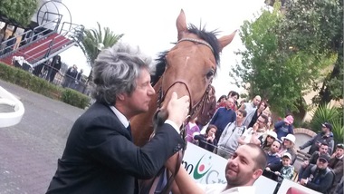 Mi Raccomando il Muchacho