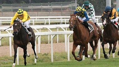 ”Presidente” con cinque candidati