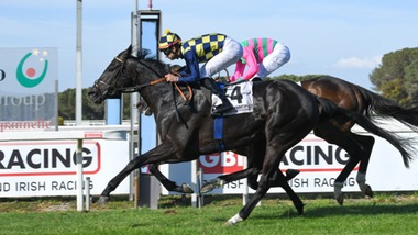 Branca, un'altra scelta giusta