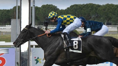 Mi Raccomando, salto in lungo