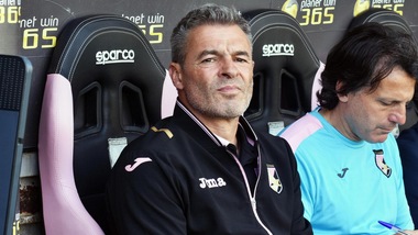Serie A Palermo, Bortoluzzi: «Vogliamo chiudere bene»