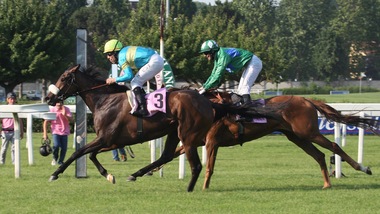 Pinna, prima classica italiana