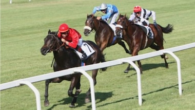 Largo a Ipompieridiviggiù