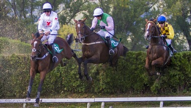 Mazhilis & c. a Merano