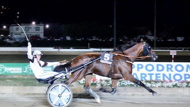 Napoli, risultati dei GP