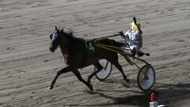 Tamure Roc, un assolo