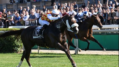 Capannelle controcorrente