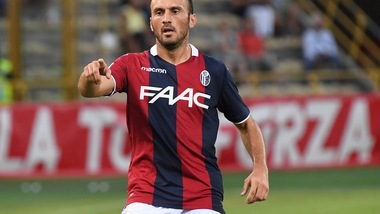 Serie A Bologna, per Torosidis solo terapie