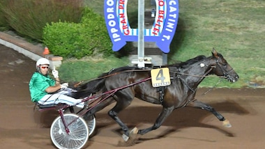 Bellei, l'Urlo dei dieci