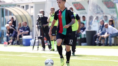 Calciomercato Bari, arriva Petriccione. Salutano Moras e Raicevic