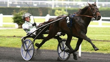 Derby e Oaks, i numeri delle batterie