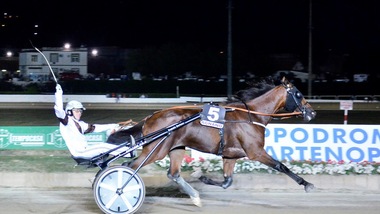 Sarà un vero Continentale