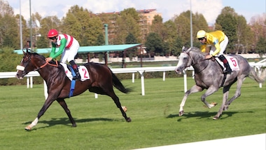 Un anno dopo, ancora Full Drago