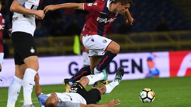 Calciomercato Bologna, oro Petkovic: vale già 5 milioni