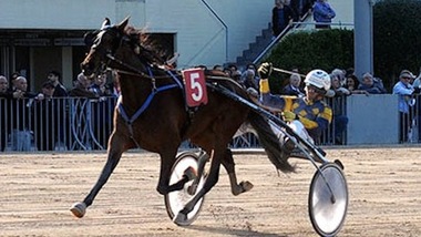 Derby e Oaks, ecco le batterie