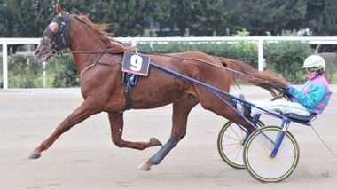 È il Turno del Freccia d'Europa