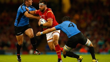 Incredibile: nazionale gallese morso da un leone!