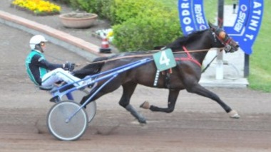 Grassetto, in otto a Padova