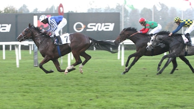 Gran Criterium alla tedesca