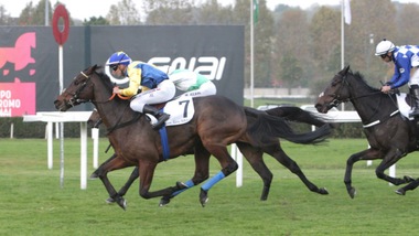 Trip To Rhodos deve sudarsela